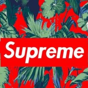 Meet your Posher, Frankie